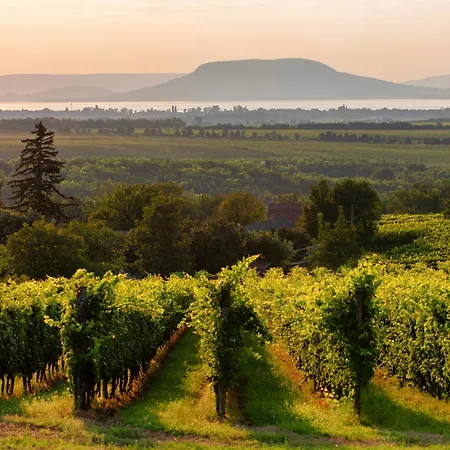 In 40847 Дом отдыха