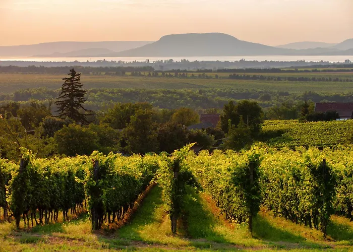 In 40847 Casa vacanze